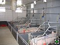 thn_Troubelice 2006 036.jpg